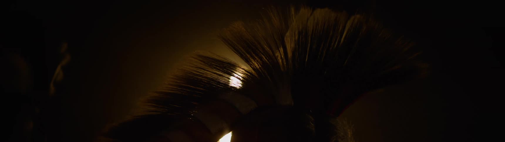 A person is modeling a feathered headpiece