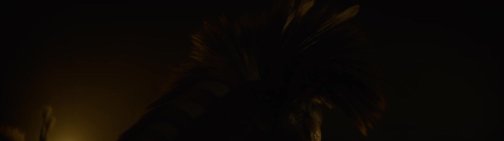 Silhouette of a person in a lowlight environment wearing traditional indigenous clothing
