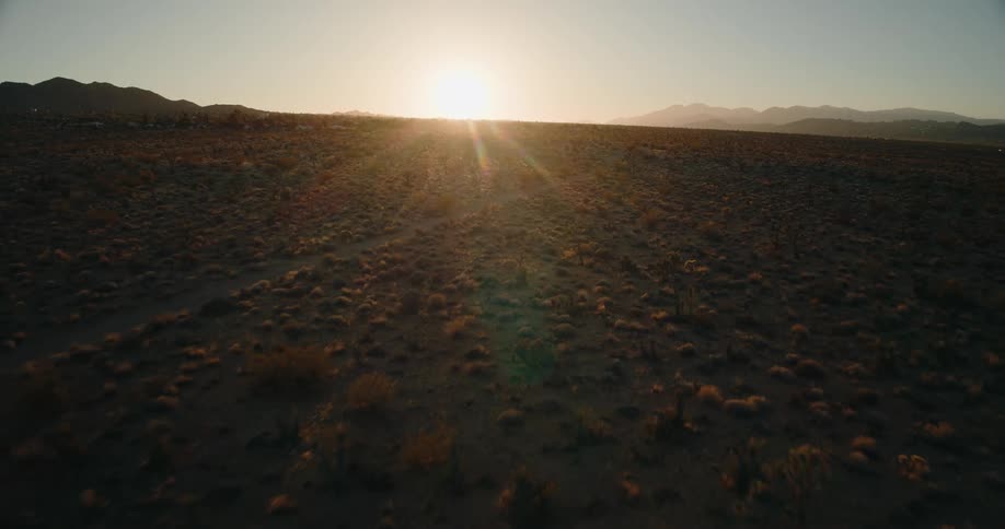 Aerial shot of a natural area with sparse vegetation and the sun rising on the horizon