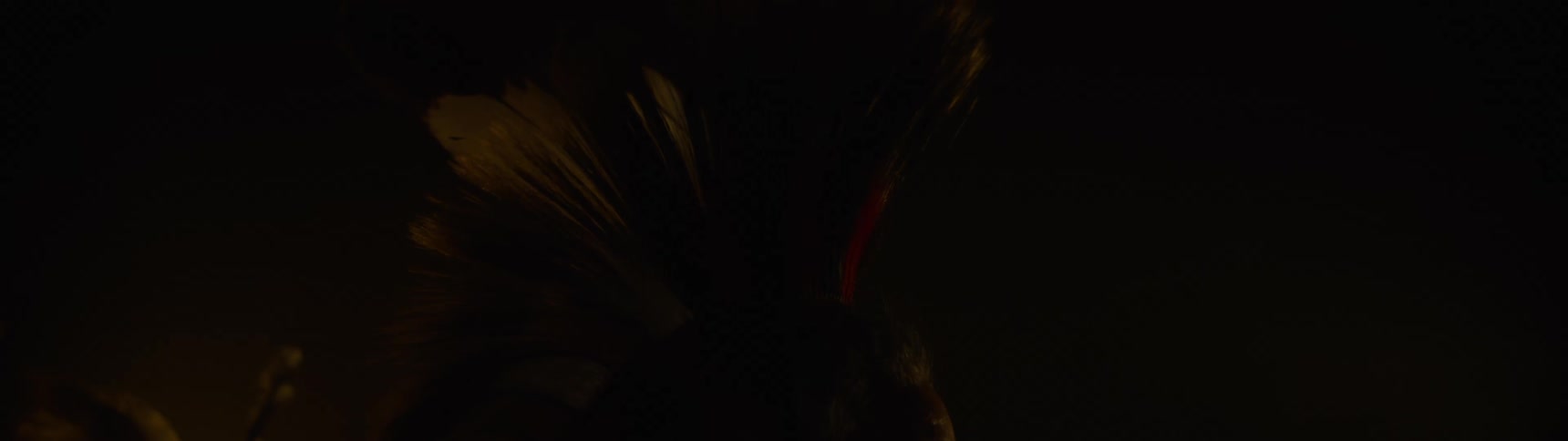 A person wearing a headdress waves the feathers around