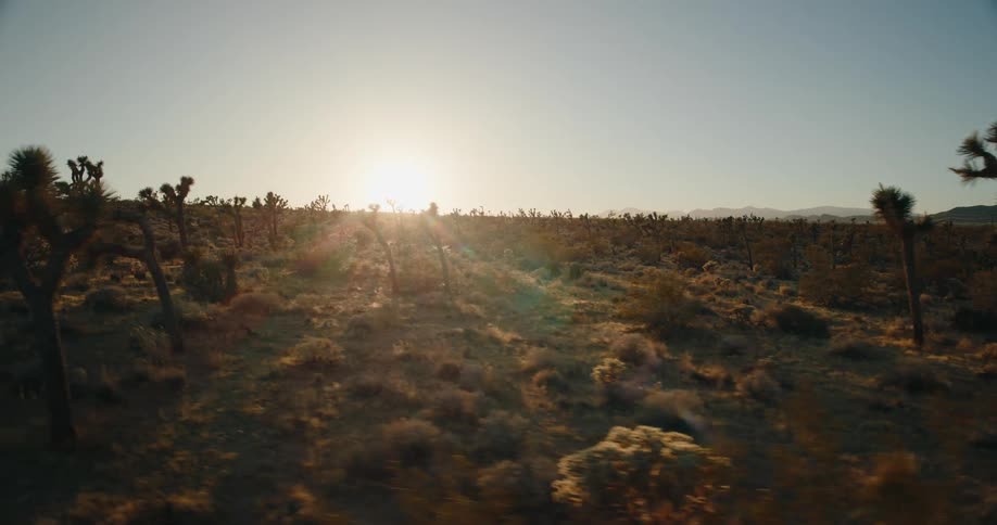 The sun is rising on the desert