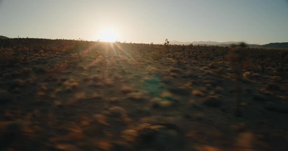 Desert landscape at sunset with silhouetted joshua trees seen from a moving vehicle