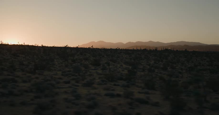 Aerial view of a desert area with sparse vegetation at dawn