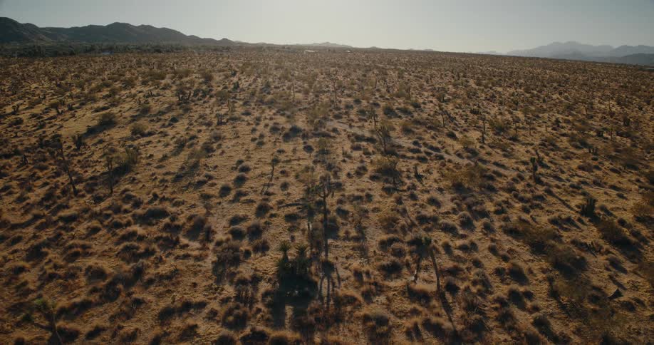 A vast arid desert landscape stretches toward distant mountains under a bright sun