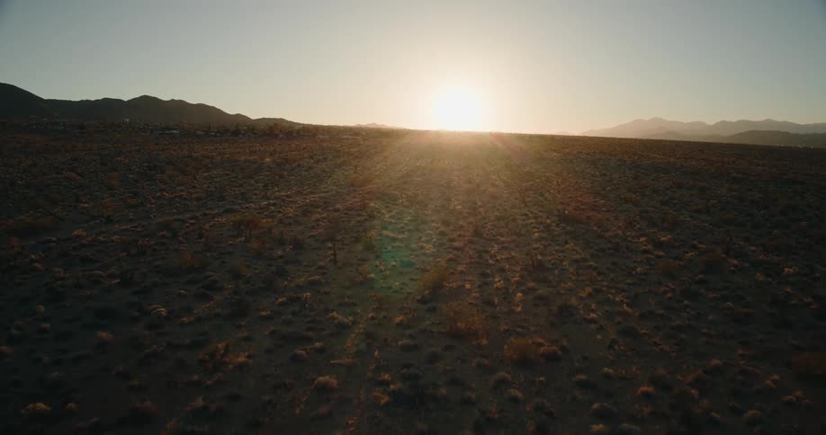 The sun is rising on the desert