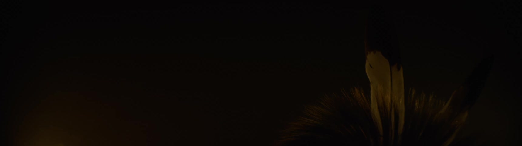 Person wearing traditional clothing in a lowlight environment