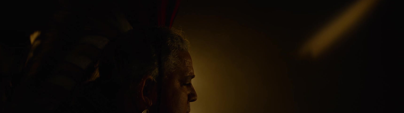 A native american man with feathers on his head