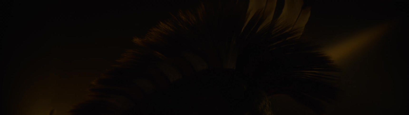 A close up shot follows the intricate details of a traditional indigenous headdress made of fur and feathers as it moves in a dimly lit warm environment