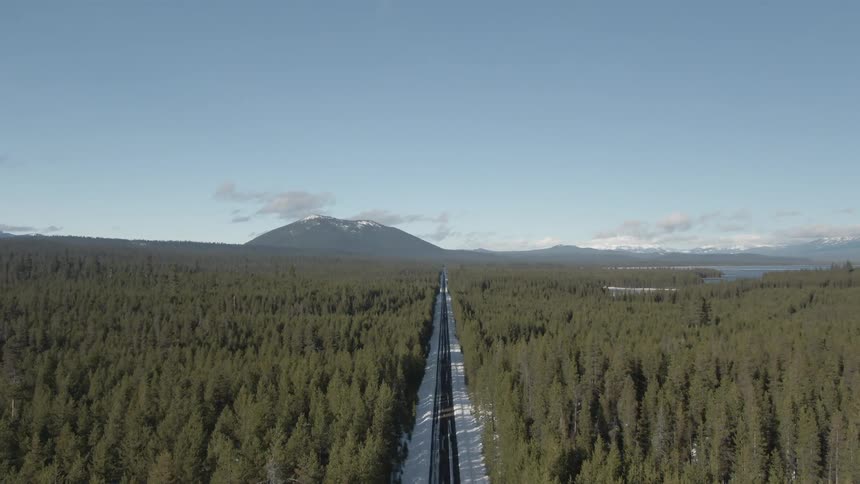 A train track running through a forest filled with trees at midday
