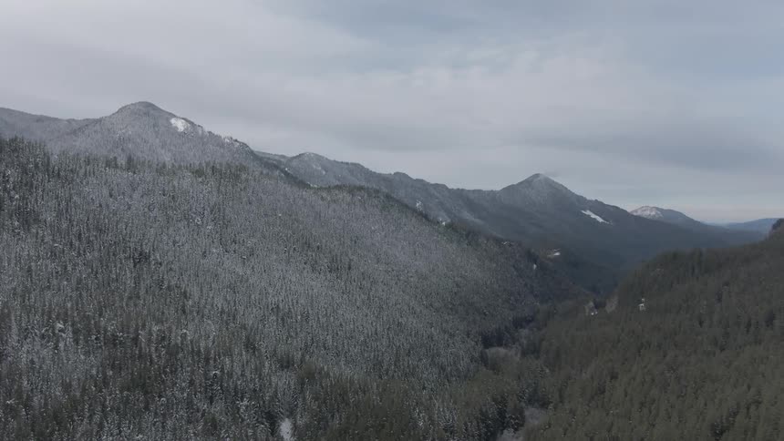 An aerial shot shows a vast snowcovered mountain range with coniferous trees partially dusted with snow under a cloudy gray sky