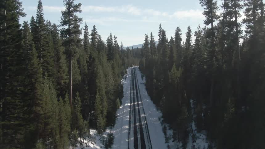 Aerial view of a snowy highway surrounded by tall conifers in a forest
