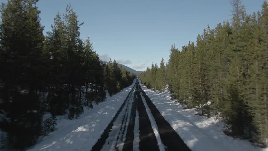 A drone flies forward above a narrow snowcovered road cutting cleanly through a dense forest of bare winter trees under soft light