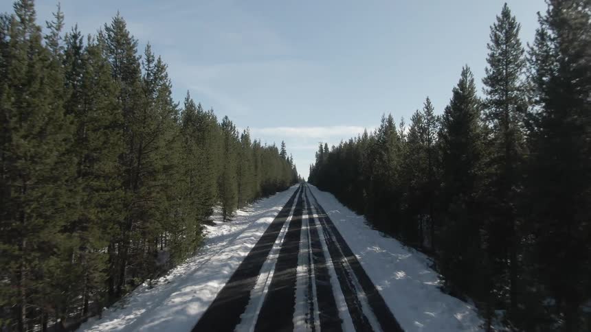 Slow drive down a snowy road surrounded by a dense forest of green pines under a blue sky on a bright day