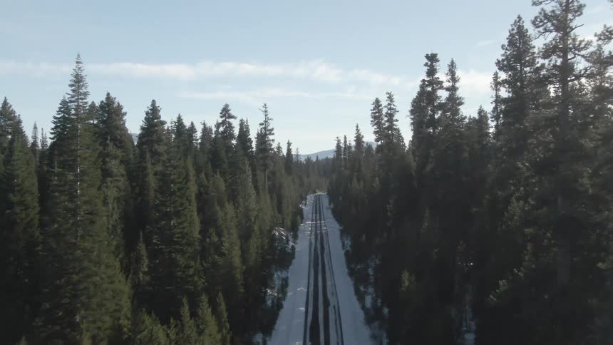 Aerial view of a snowy highway surrounded by tall coniferous trees in a forest
