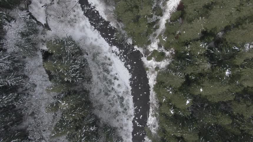 A narrow river winds through a snowy forest landscape viewed from directly above