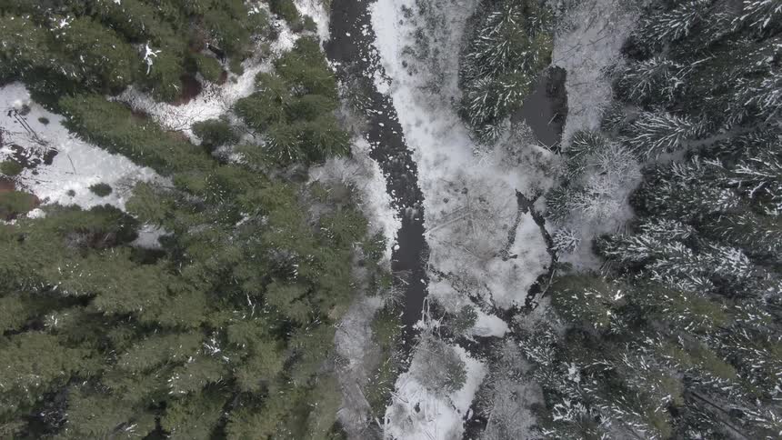 Aerial panorama of a river in a snowy coniferous forest