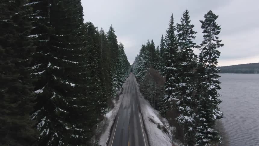 An empty paved road is flanked by snowcovered pine trees and a dark body of water under an overcast sky