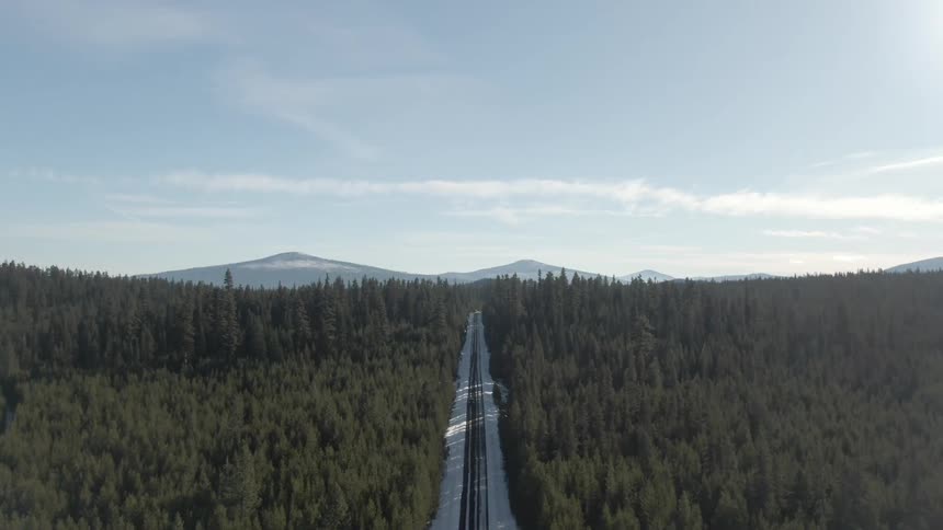 Aerial panorama of a highway in a coniferous forest and mountains on the horizon