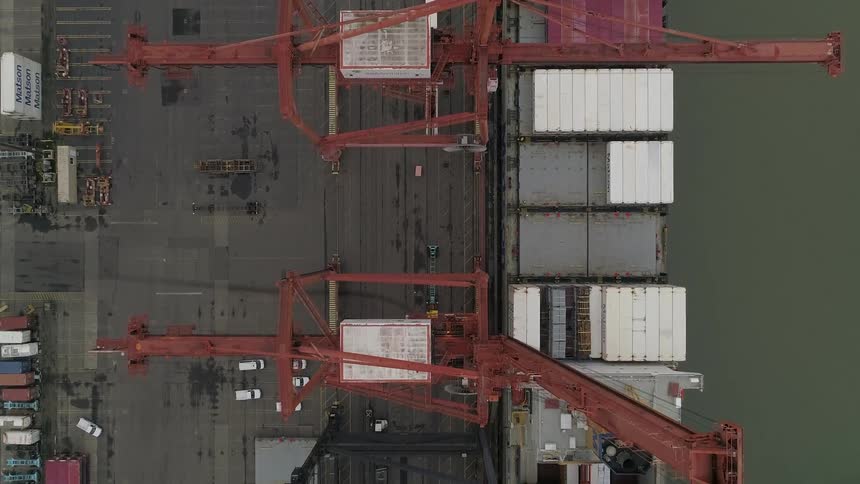 Cranes are on the port