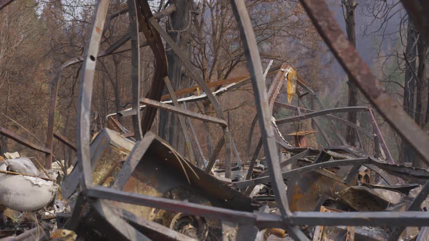 A slow backward pan reveals the scorched remains of a collapsed structure surrounded by ash and debris in the aftermath of a forest fire