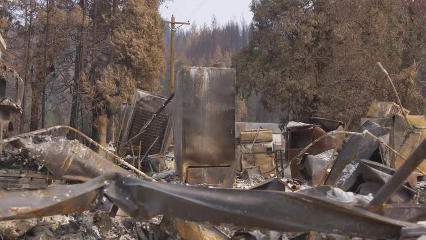 Wreckage with corroded and rusted metals in a place with many trees in winter
