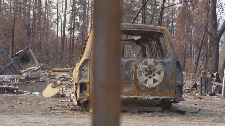 Vehicle stripped and burned in a forest