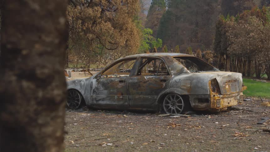 A severely burned car sits abandoned in a forest area after a fire