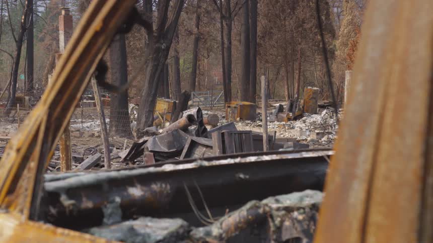 Debris among trees and the carcass of a wornout car