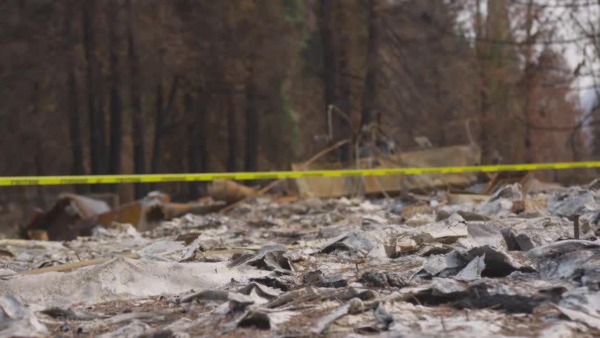 A blurred foreground of ash and debris with a yellow caution tape in the midground frames a background of a firedamaged forest and skeletal remains of structures under an overcast sky