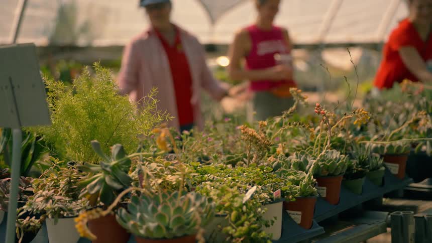 An employee in the greenhouse is talking with customers