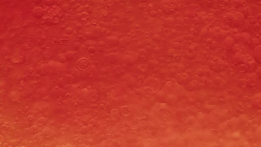 A thick red liquid with small bubbles drifting up and down