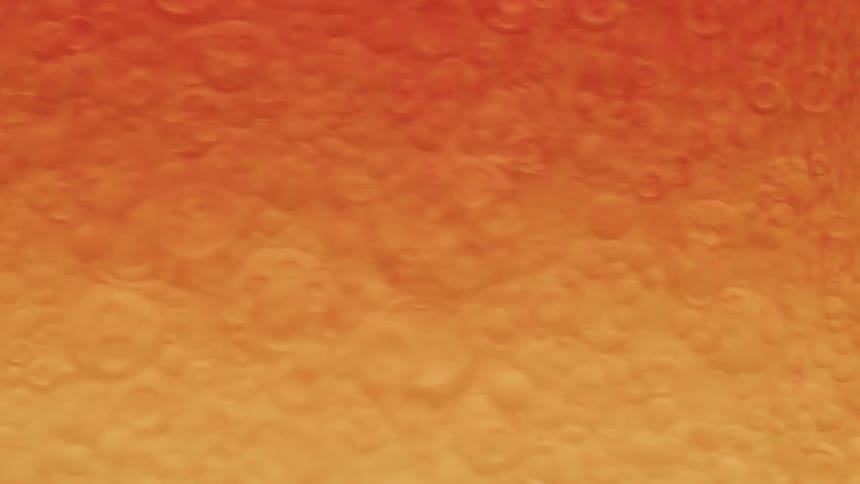 A yelloworange liquid moves quickly