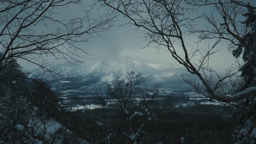 Withered trees with snow falling at dawn and a distant mountain