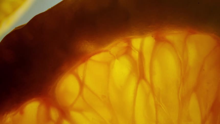 Close up of a sliced orange
