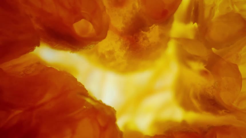 Extreme close up on an orange abstract subject