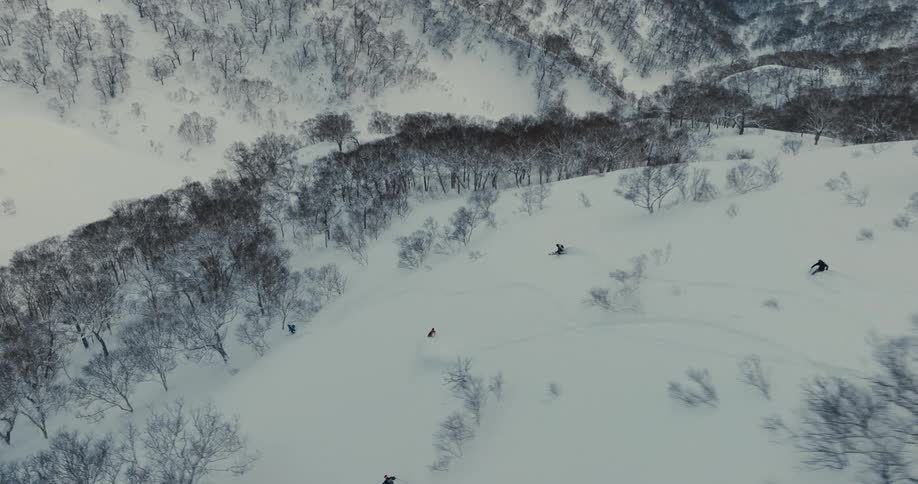 A group of people skiing down a treecovered mountain at midday skillfully navigating around the trees