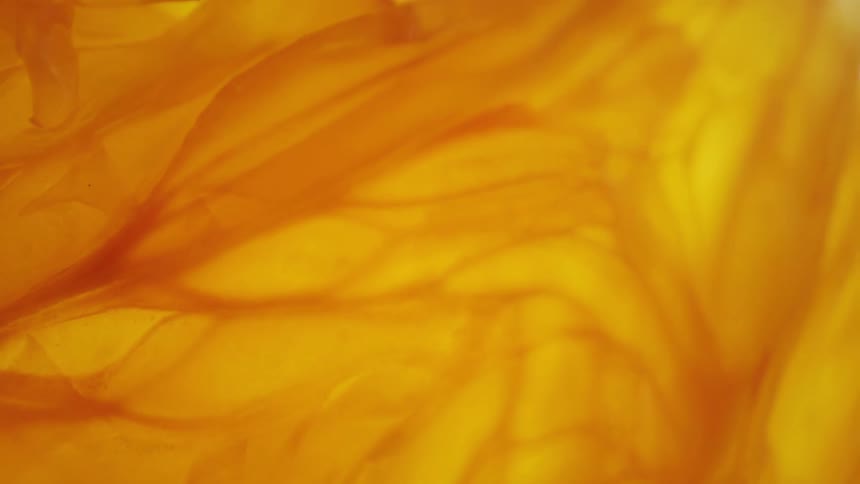 Extreme close up detail of a sliced orange fruit