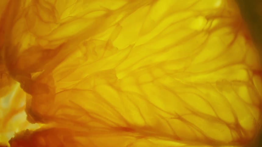 A macro shot shows a translucent slice of an orange with visible pulp and membranes brightly lit from behind