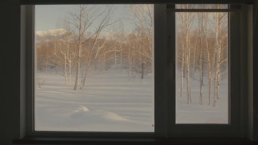 A window is opened to reveal an arctic area with trees outdoors during the day