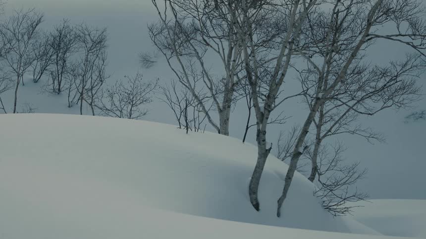 White snow covers a mountain slope with several bare trees sparsely distributed across the landscape