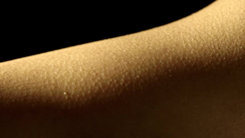 The shoulder skin of a black person is covered with goosebumps as light shines and reveals the texture