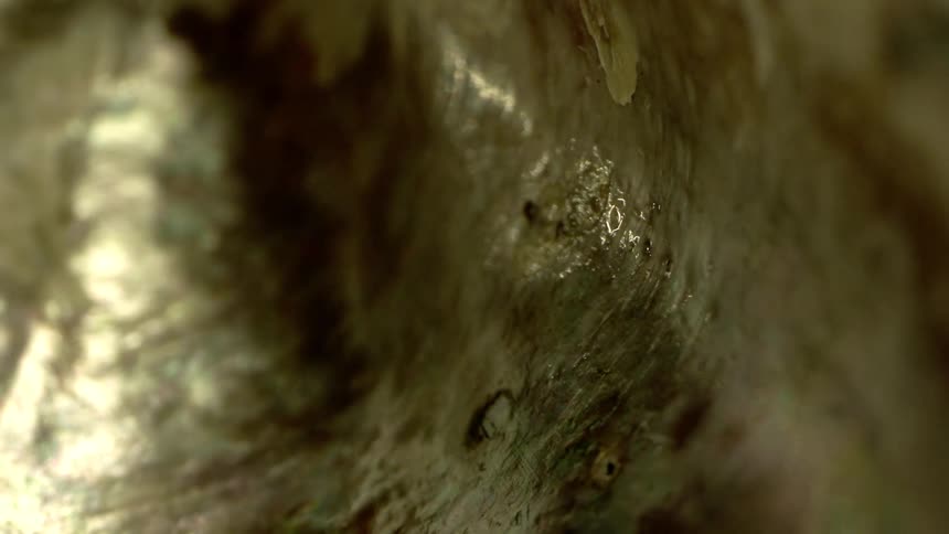Abstract closeup on a wet surface with light reflection