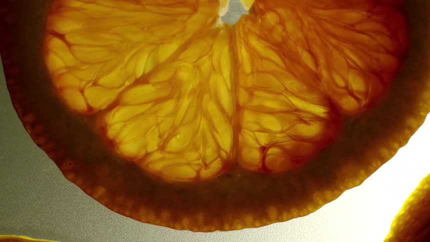 Round flat slices of orange fruit on a bright surface