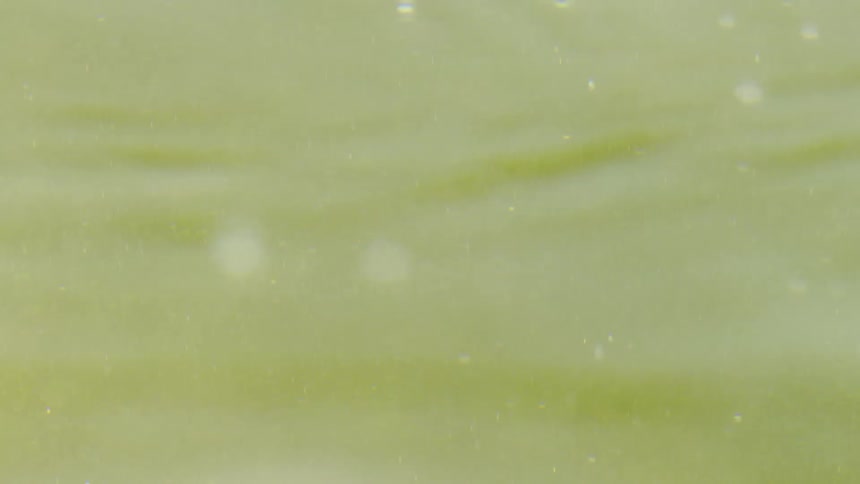 Drops of water fall into a larger body of water