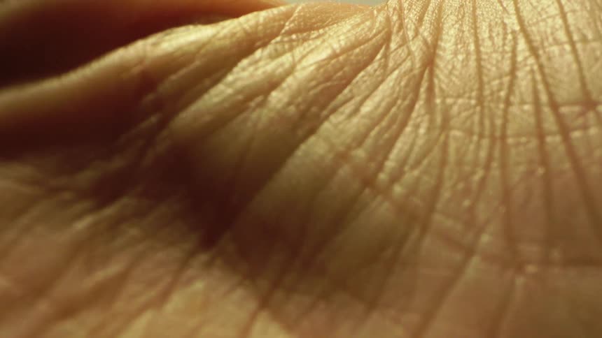 Extreme close up of a persons palm revealing their palmar creases under lighting