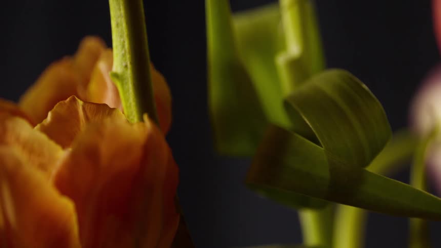 Yellow flowers with long green stems are arranged against a dark background