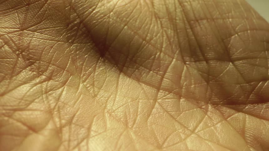 A persons palm marked with lines is exposed under the sunlight