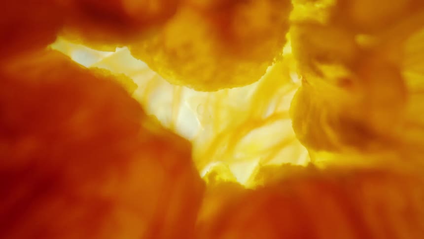 An extreme close up of a yellow and orange thing