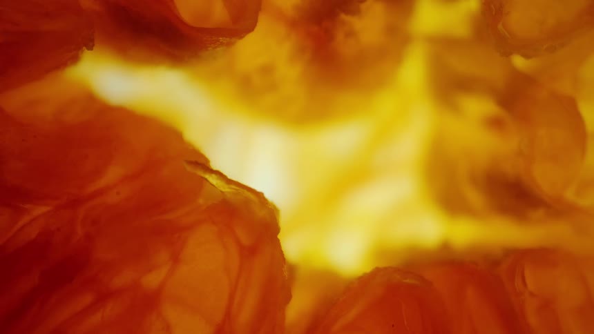 A bright abstract closeup features vibrant orange and yellow hues reminiscent of backlit citrus fruit segments or glowing molten material