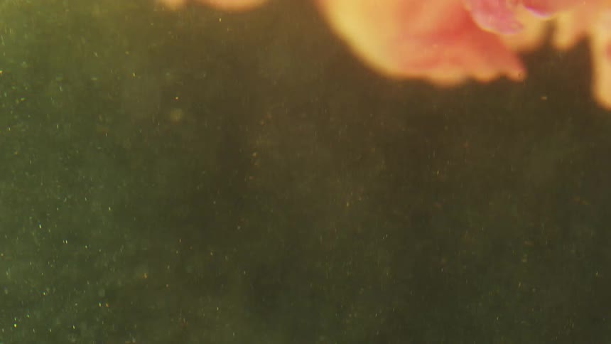 A vibrant pink flower with yellow accents floats and bobs in murky green water filled with shimmering particles